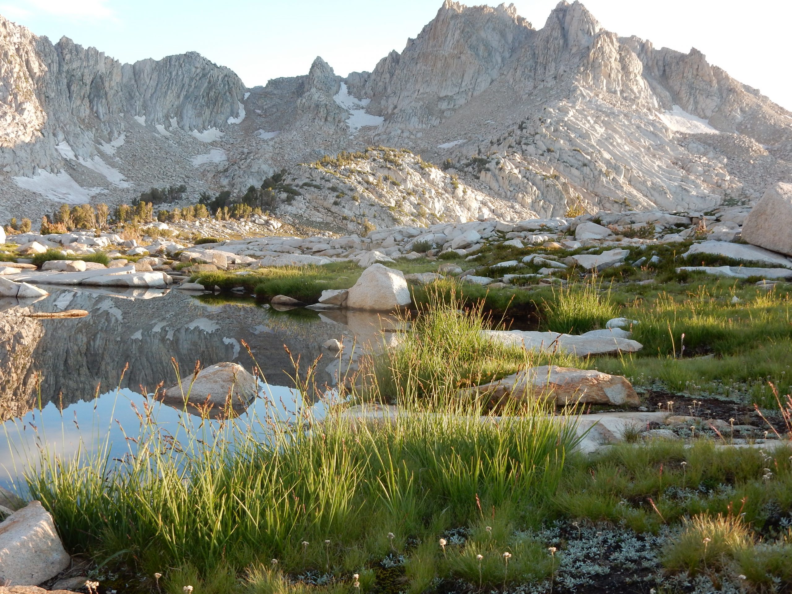 The California Biologist's Handbook